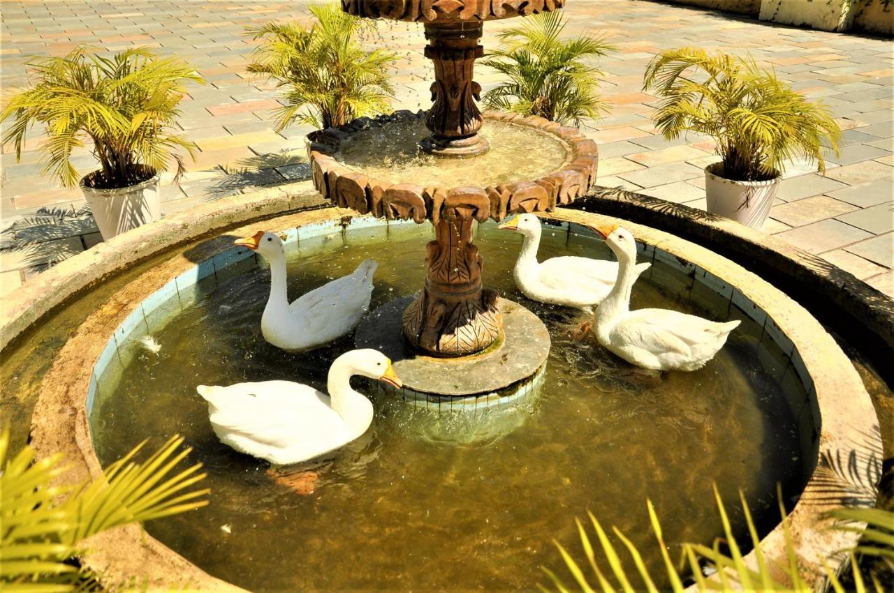 Alcor Spa Resorts Кумбхалгарх Экстерьер фото